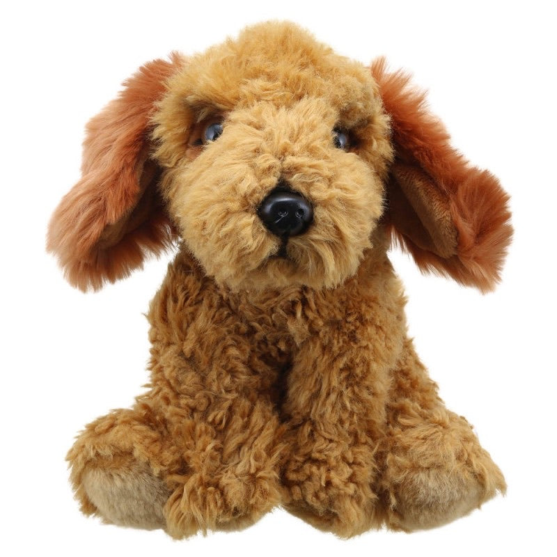 cockapoo cuddly toy