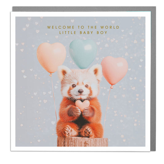 Red Panda New Baby Boy Greetings Card.