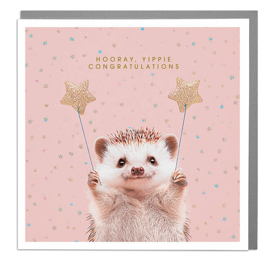 Hedgehog Congratulations Greetings Card