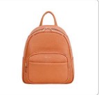 David Jones Apricot Medium Backpack