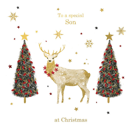 Christmas Greetings Card Son